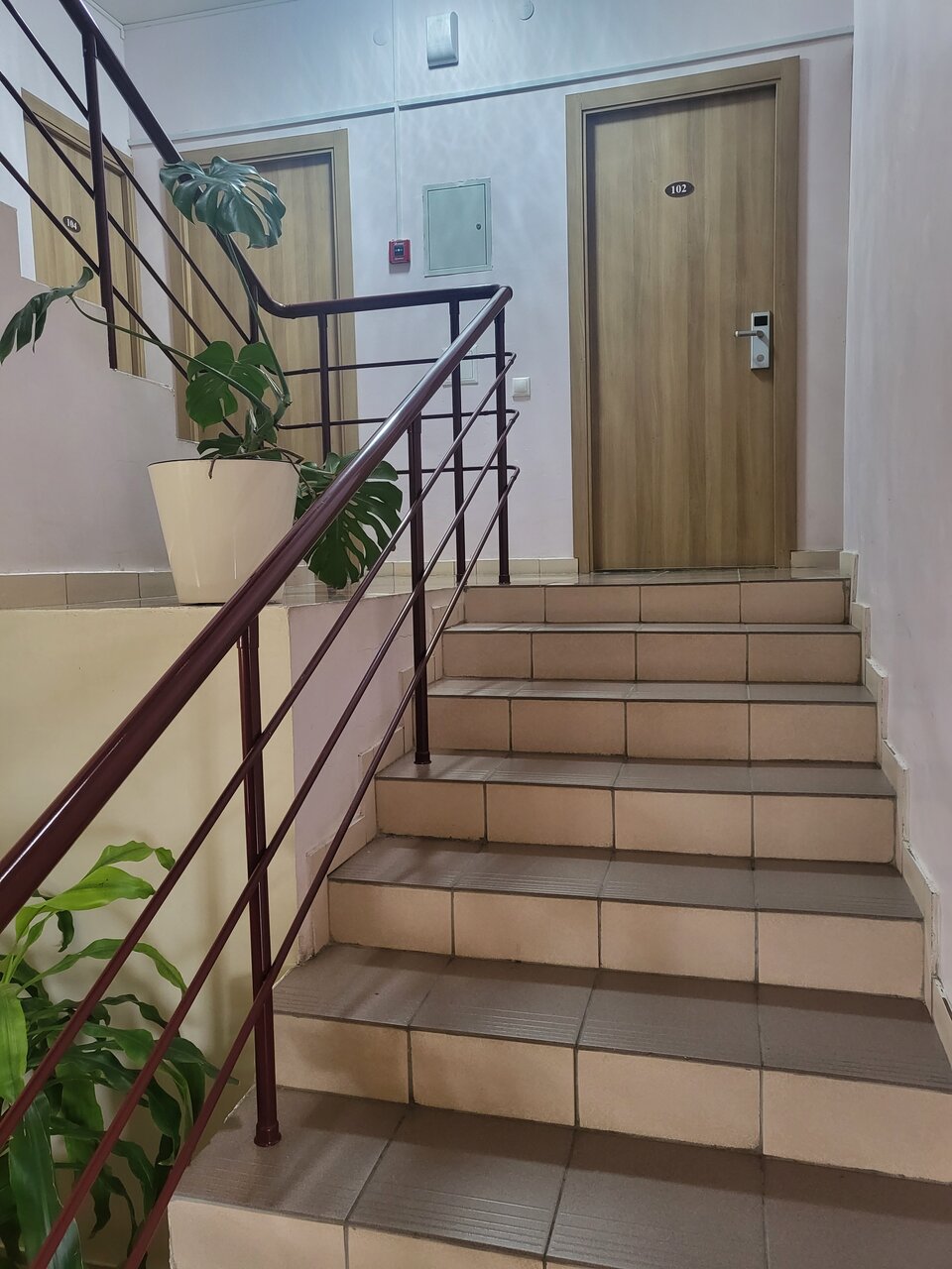 Гостиница Сален Витязево-53