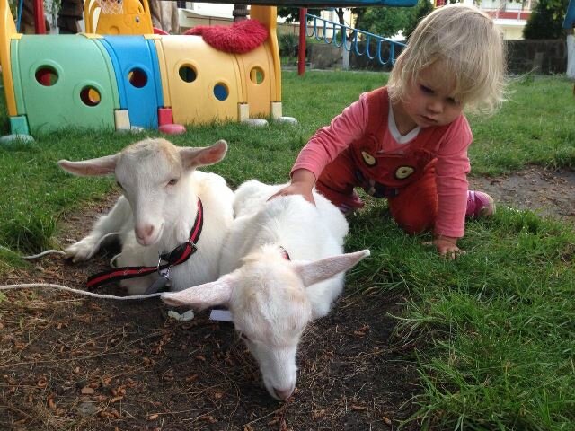 Гостиница Сален Витязево-86