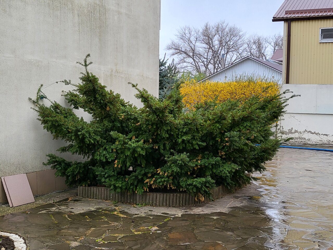 Гостиница Сален Витязево-52