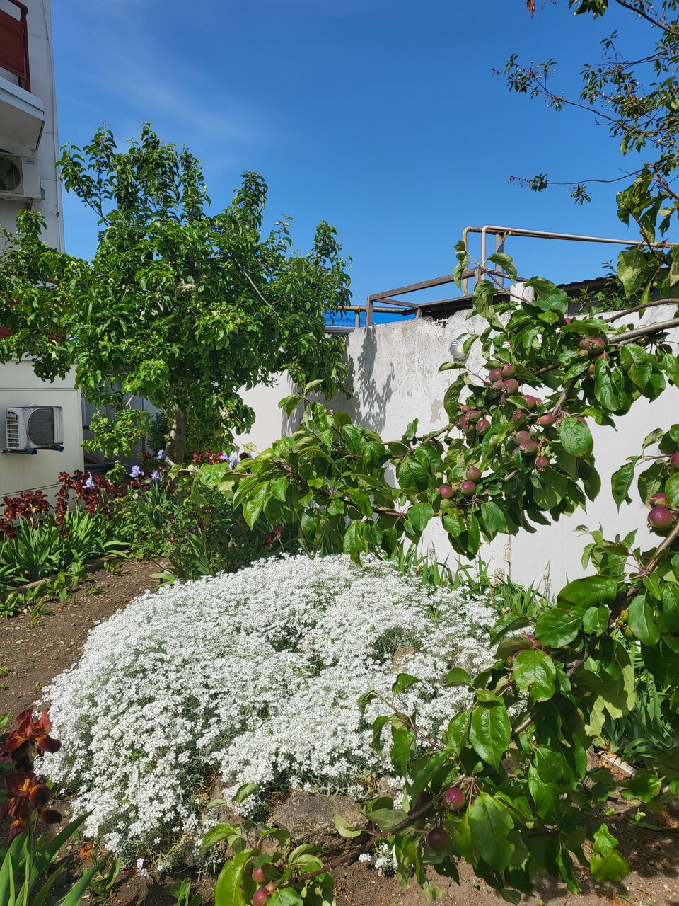 Гостиница Сален Витязево-20