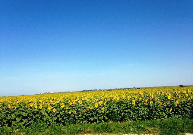 Гостиница Сален Витязево-13