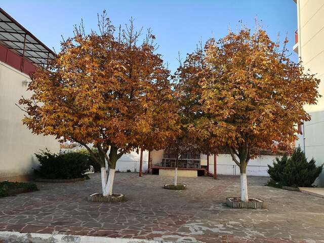 Гостиница Сален Витязево-38