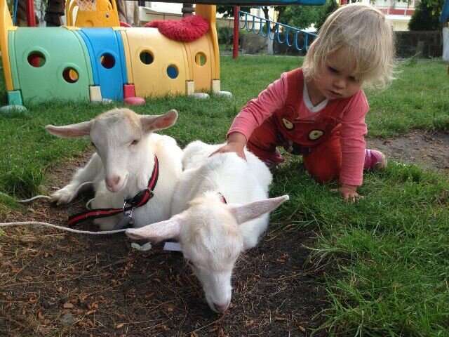 Гостиница Сален Витязево-85