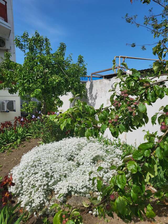 Гостиница Сален Витязево-19